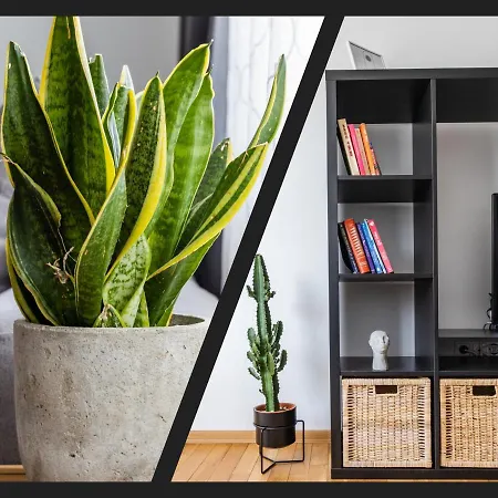 Matisse Hotflat Lejlighed Varna