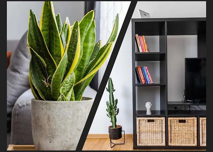 Matisse Hotflat Apartment Warna